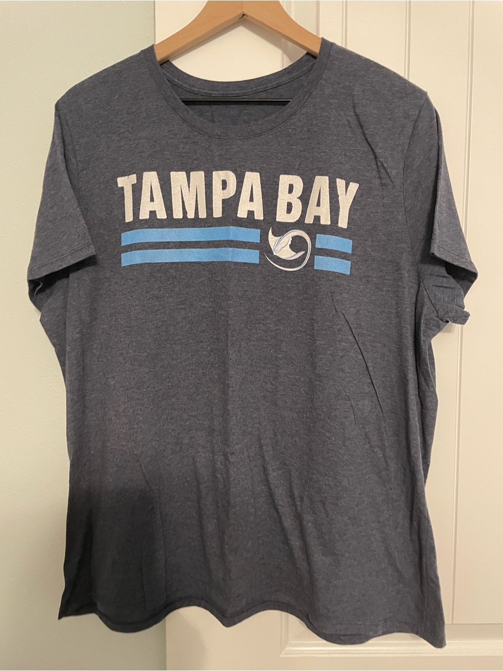 Gildan Tampa Bay Rays Graphic Tee in Heather Navy with White Stripes